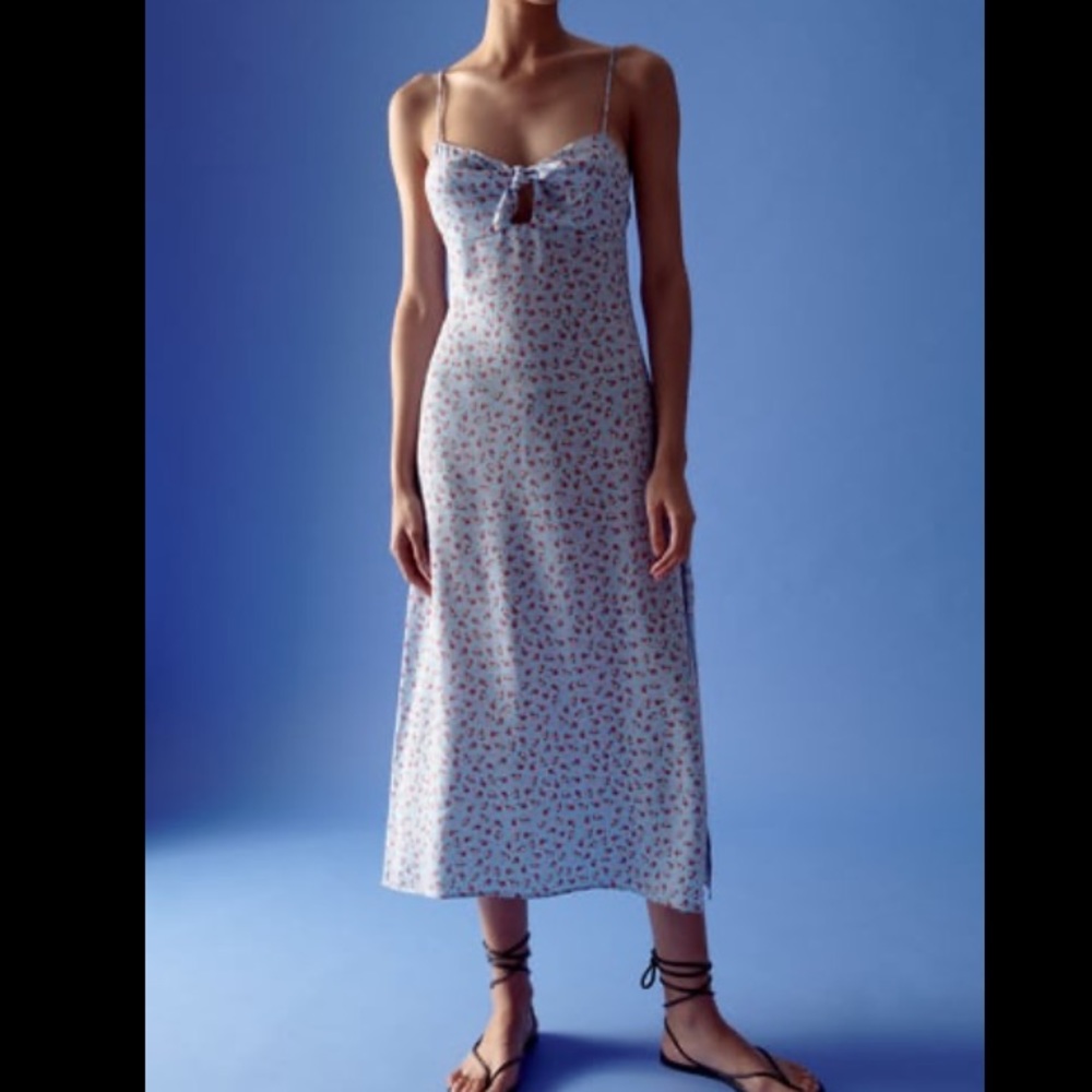 Zara Floral Print Dress